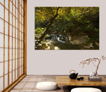 3D Trees Creek 111100 Kathy Barefield Wall Sticker