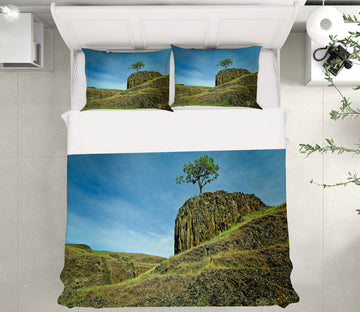 3D Grass Stone 8687 Kathy Barefield Bedding Bed Pillowcases Quilt