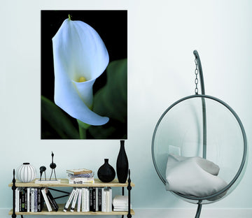 3D Lily Blossoms 044 Kathy Barefield Wall Sticker Wallpaper AJ Wallpaper 2 