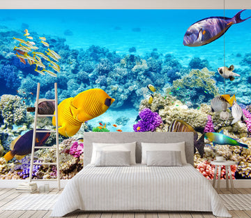3D Color Coral 222 Wall Murals