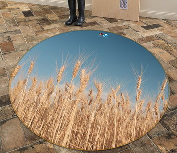 3D Grass 81097 Round Non Slip Rug Mat