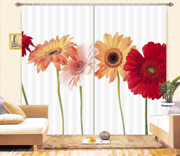 3D Daisy Flower 037 Kathy Barefield Curtain Curtains Drapes Curtains AJ Creativity Home 