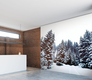 3D White Snow Tree 049 Wall Murals Wallpaper AJ Wallpaper 2 