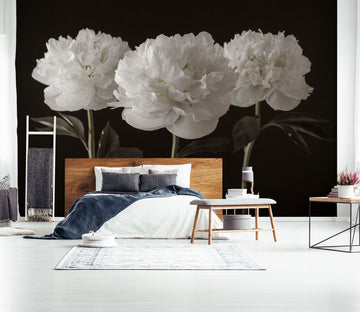 3D White Flower 6220 Assaf Frank Wall Mural Wall Murals