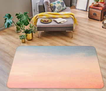 3D Pink Blue 31064 Non Slip Rug Mat