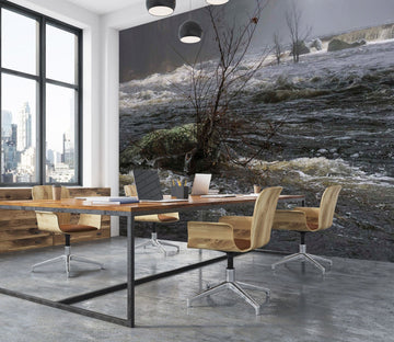 3D Misty River 113 Jerry LoFaro Wall Mural Wall Murals Wallpaper AJ Wallpaper 2 