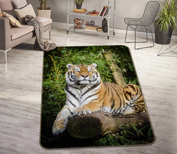3D Tiger Nature 150 Animal Non Slip Rug Mat