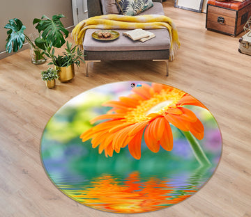 3D Flowers 72073 Round Non Slip Rug Mat