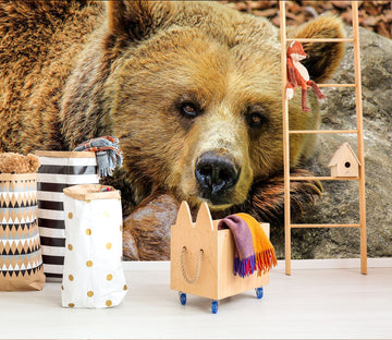 3D Brown Bear 139 Wall Murals Wallpaper AJ Wallpaper 2 