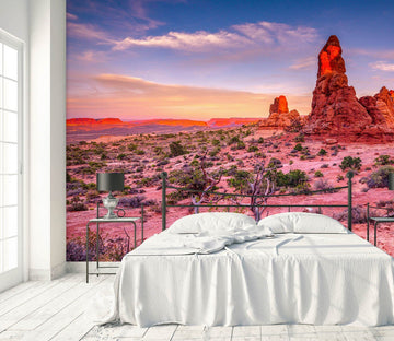 3D Red Stones 1423 Marco Carmassi Wall Mural Wall Murals Wallpaper AJ Wallpaper 2 