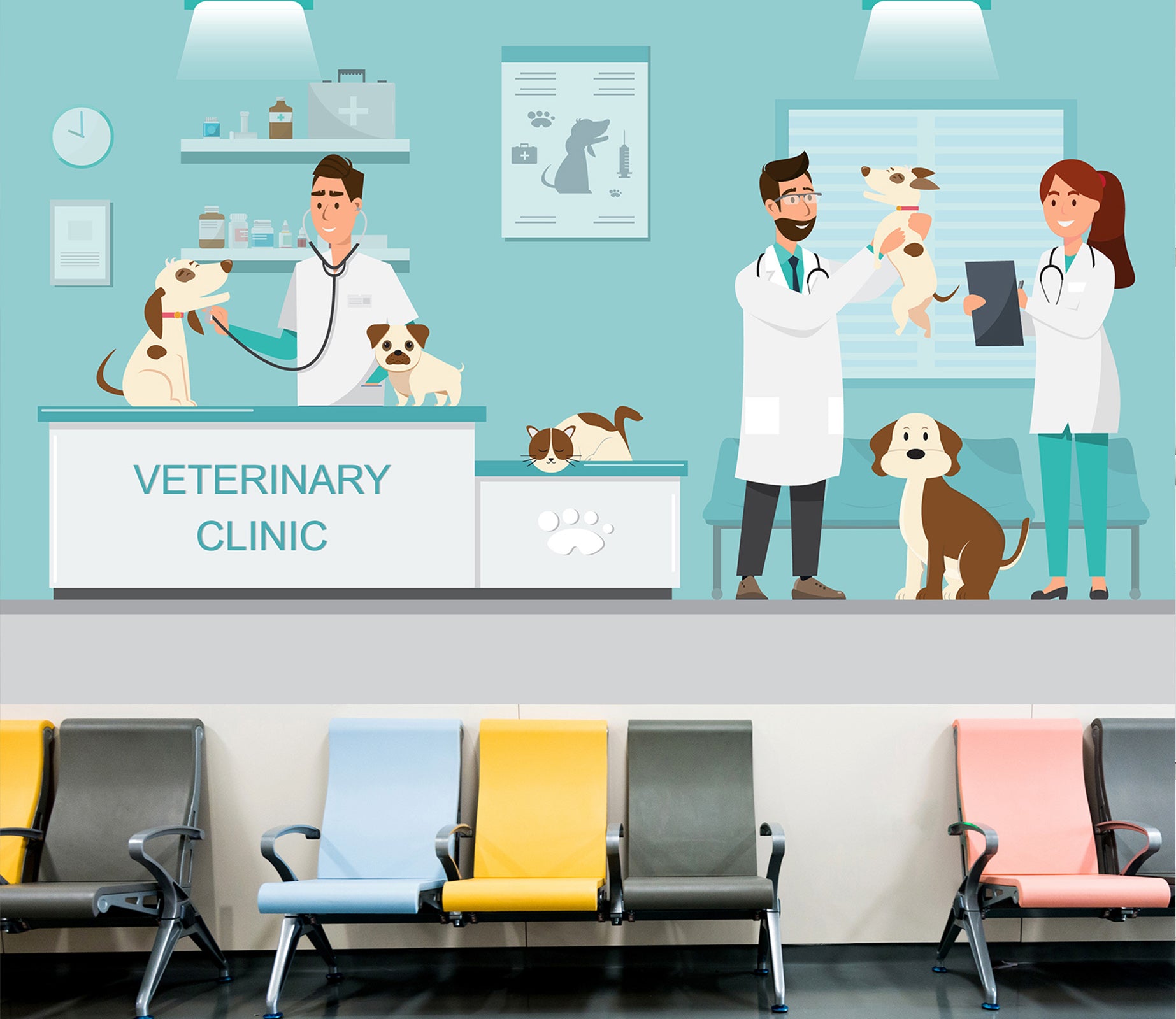 3D Veterinary Dog 335 Wall Murals