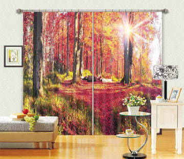 3D Red Steppe 832 Curtains Drapes Wallpaper AJ Wallpaper 