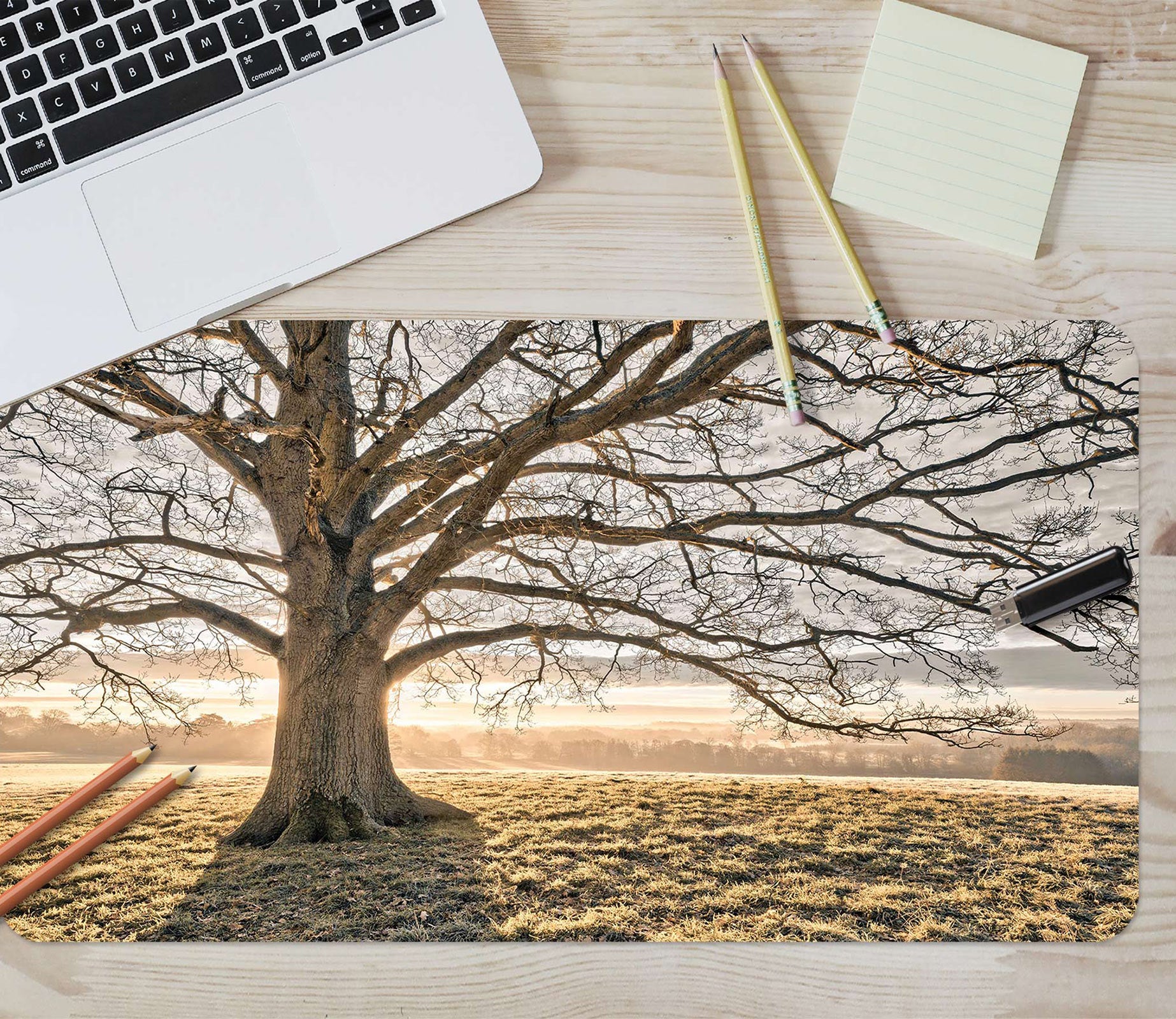 3D Lawn Big Tree 12460 Assaf Frank Desk Mat