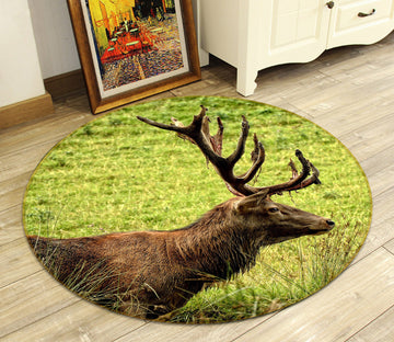 3D Deer 38099 Animal Round Non Slip Rug Mat