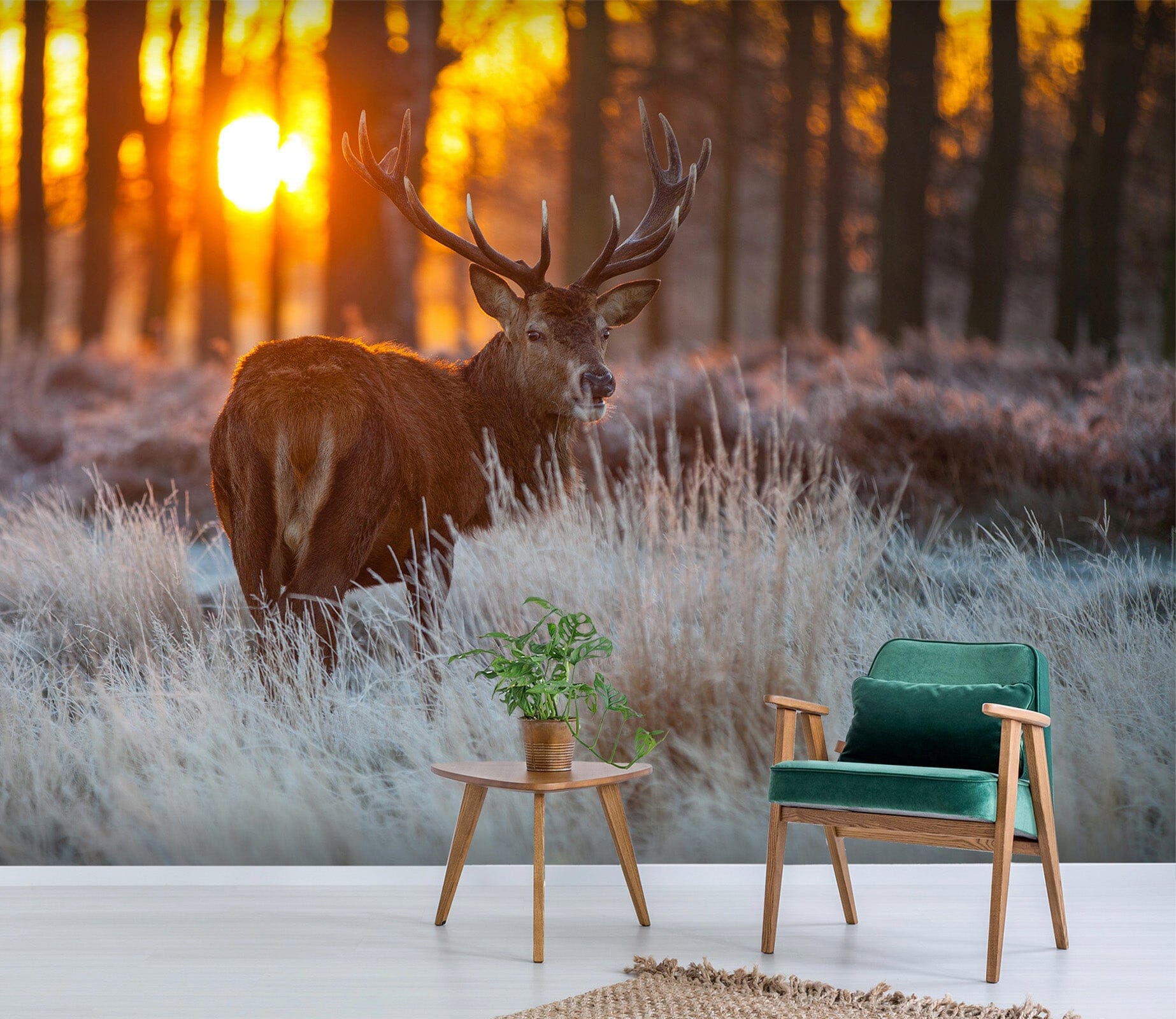 3D Sunset Forest Deer 386 Wall Murals Wallpaper AJ Wallpaper 2 