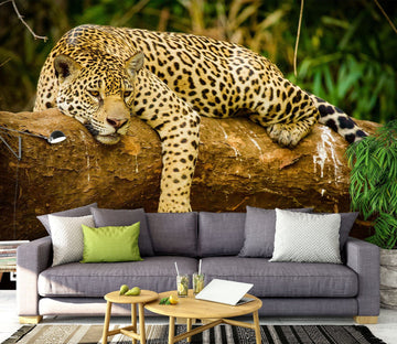 3D Leopard 1475 Wall Murals Wallpaper AJ Wallpaper 2 