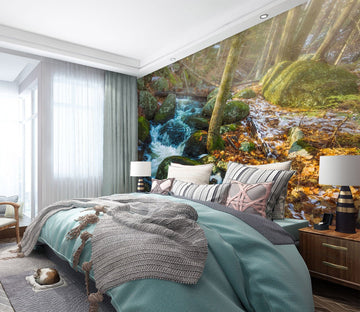 3D Forest Stream 108 Jerry LoFaro Wall Mural Wall Murals Wallpaper AJ Wallpaper 2 