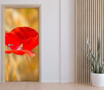 3D Red Flower 122141 Marco Carmassi Door Mural