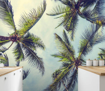 3D Coconut Tree 88 Wall Murals Wallpaper AJ Wallpaper 2 