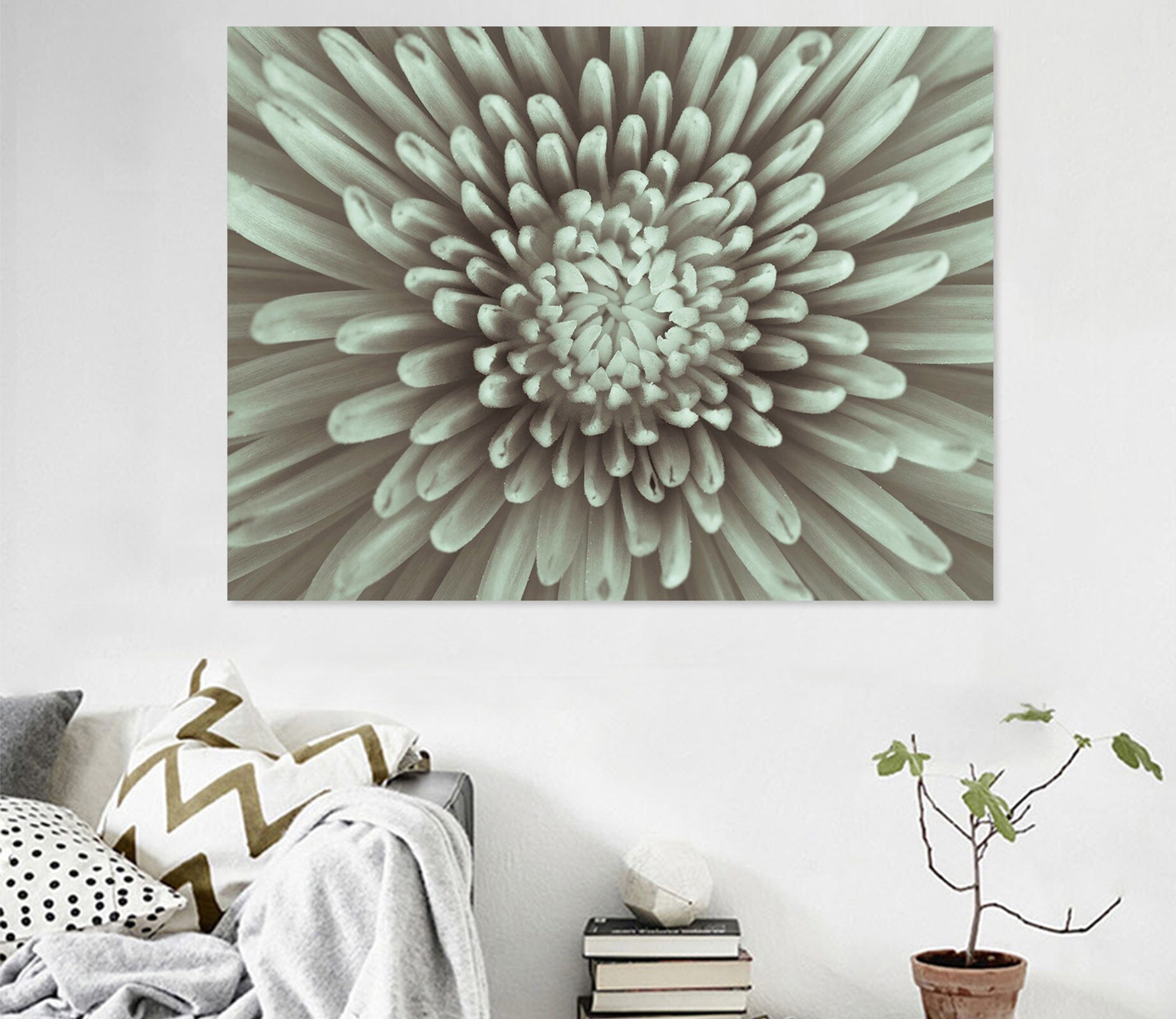 3D Chrysanthemum 013 Assaf Frank Wall Sticker Wallpaper AJ Wallpaper 2 