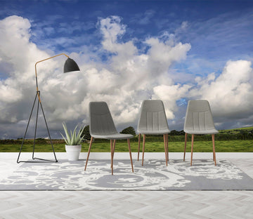 3D Fine Weather 107 Jerry LoFaro Wall Mural Wall Murals Wallpaper AJ Wallpaper 2 