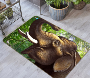 3D Indian Elephant 85056 Jerry LoFaro Rug Non Slip Rug Mat