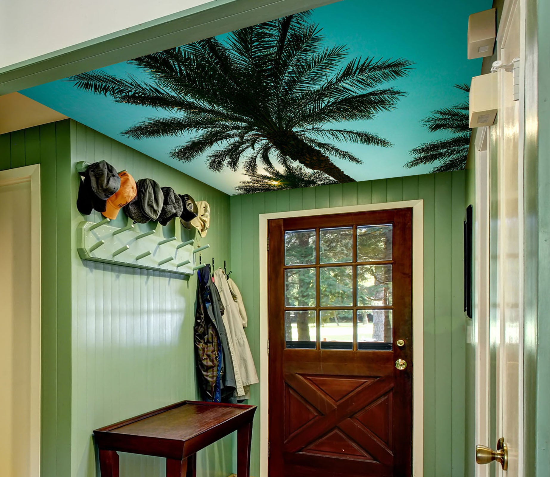 3D Sky Coconut Tree 2572 Assaf Frank Ceiling Wallpaper Murals