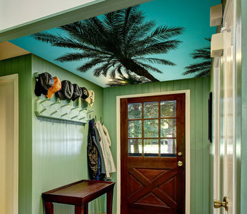 3D Sky Coconut Tree 2572 Assaf Frank Ceiling Wallpaper Murals