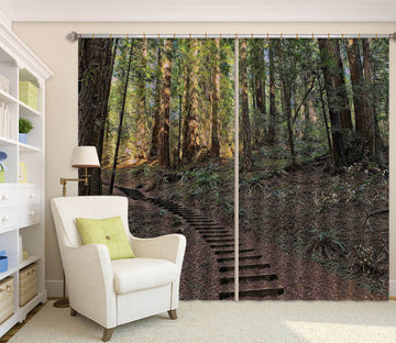 3D Forest Walkway 61220 Kathy Barefield Curtain Curtains Drapes