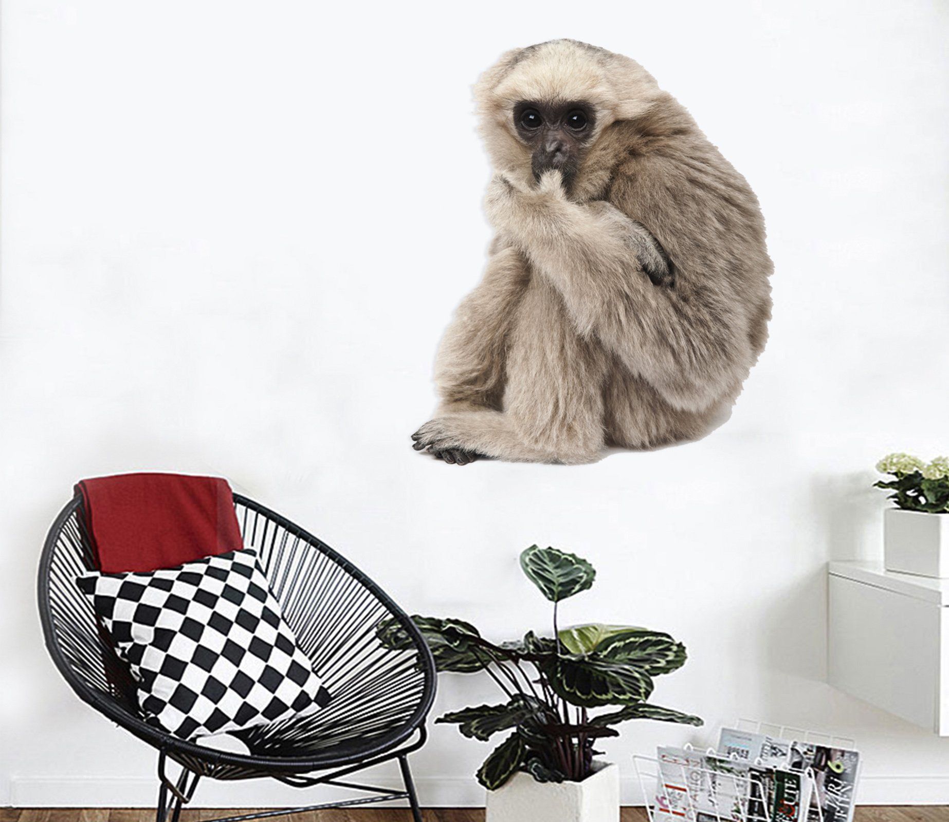 3D Orangutan Eating A Finger 190 Animals Wall Stickers Wallpaper AJ Wallpaper 