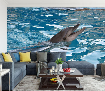 3D Dolphin 1489 Wall Murals Wallpaper AJ Wallpaper 2 