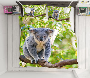 3D Koala Branches 21043 Bed Pillowcases Quilt