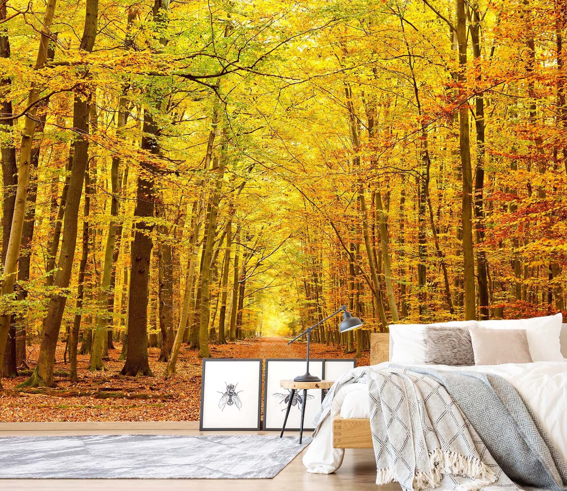 3D Maple Forest 055 Wall Murals Wallpaper AJ Wallpaper 2 