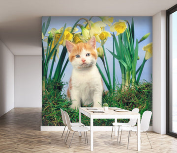 3D Orange Cat 171 Wall Murals Wallpaper AJ Wallpaper 2 