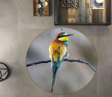 3D Bird 81224 Round Non Slip Rug Mat