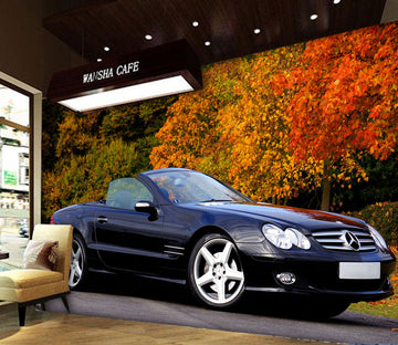 3D Automobile Maple 106 Vehicle Wall Murals