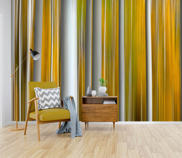 3D Parallel Lines 1418 Marco Carmassi Wall Mural Wall Murals Wallpaper AJ Wallpaper 2 