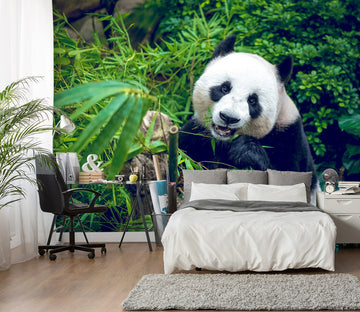 3D Panda Bamboo 58065 Wall Murals