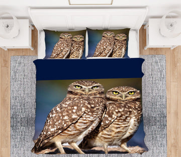 3D Burrowing Owl Buddies 2106 Kathy Barefield Bedding Bed Pillowcases Quilt Quiet Covers AJ Creativity Home 