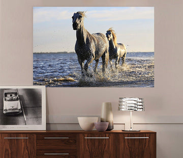3D Sea Horse 67 Animal Wall Stickers Wallpaper AJ Wallpaper 2 