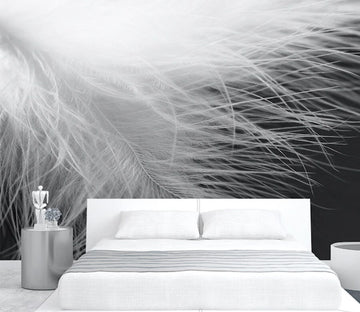3D Soft Feather WG286 Wall Murals Wallpaper AJ Wallpaper 2 