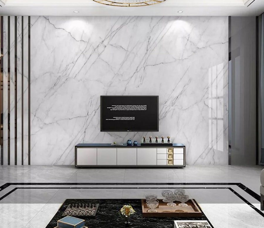 3D Ink Line WC2242 Wall Murals