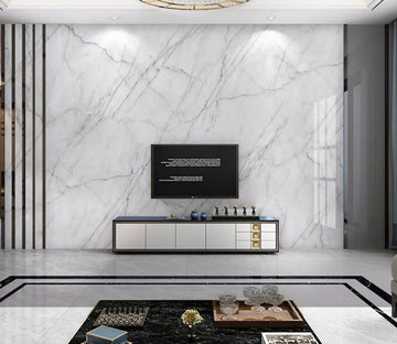 3D Ink Line WC2242 Wall Murals