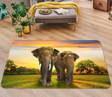 3D Sunset Elephant 131 Animal Non Slip Rug Mat