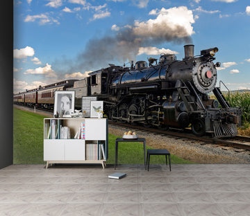 3D Train Head Smoke 171 Vehicle Wall Murals