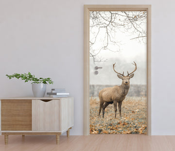 3D Deer Tree Grass 106194 Assaf Frank Door Mural