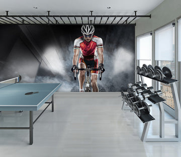 3D Cycling 269 Wall Murals Wallpaper AJ Wallpaper 2 