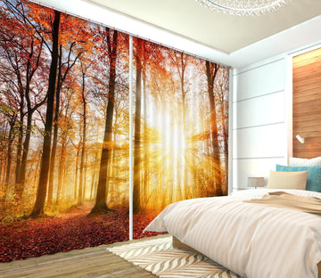 3D Morning Forest 103 Curtains Drapes Wallpaper AJ Wallpaper 