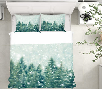 3D Snowflake 13176 Bed Pillowcases Quilt