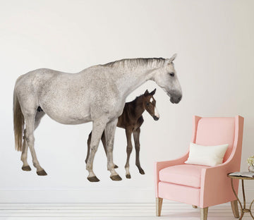 3D Malaysia And Pony 076 Animals Wall Stickers Wallpaper AJ Wallpaper 